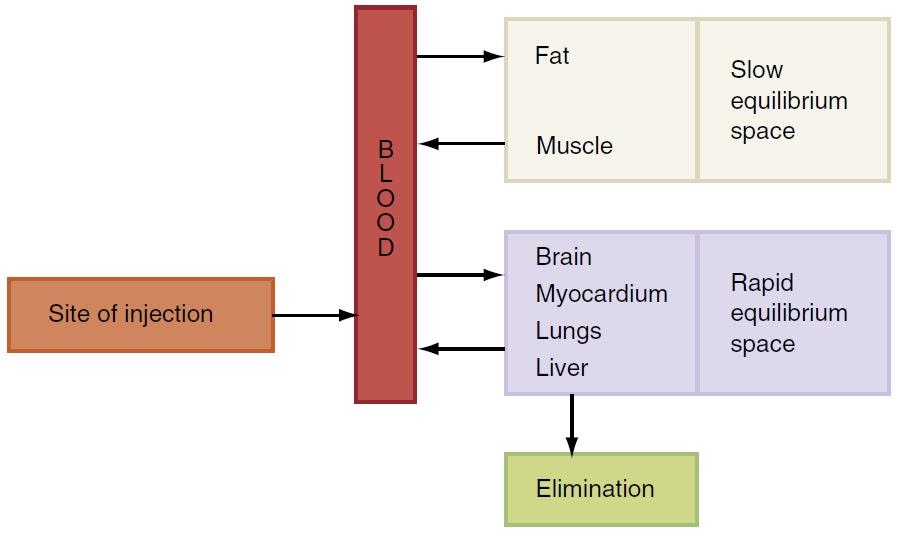 Pharmacology of local anesthesia and vasoconstrictor l Oral surgery