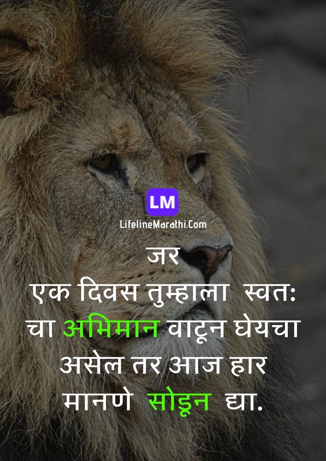 Motivational Quotes In Marathi 💪 सर्वोत्कृष्ट प्रेरणादायी विचार