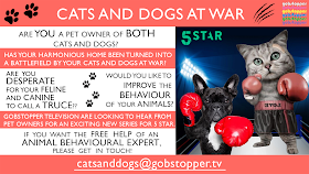 5 Star TV Poster Ad Copyright Gobstopper.TV Cats and Dogs at War