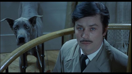 ALAIN DELON AMORES PERROS. PASSION POUR LES CHIENS ALAIN DELON AMORES PERROS. PASSION POUR LES CHIENS