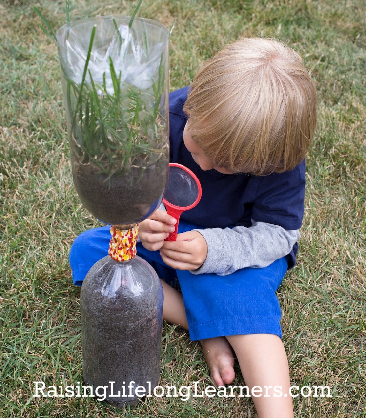 Hands On Books Nonfiction For Kids With Fun Activities Backyard