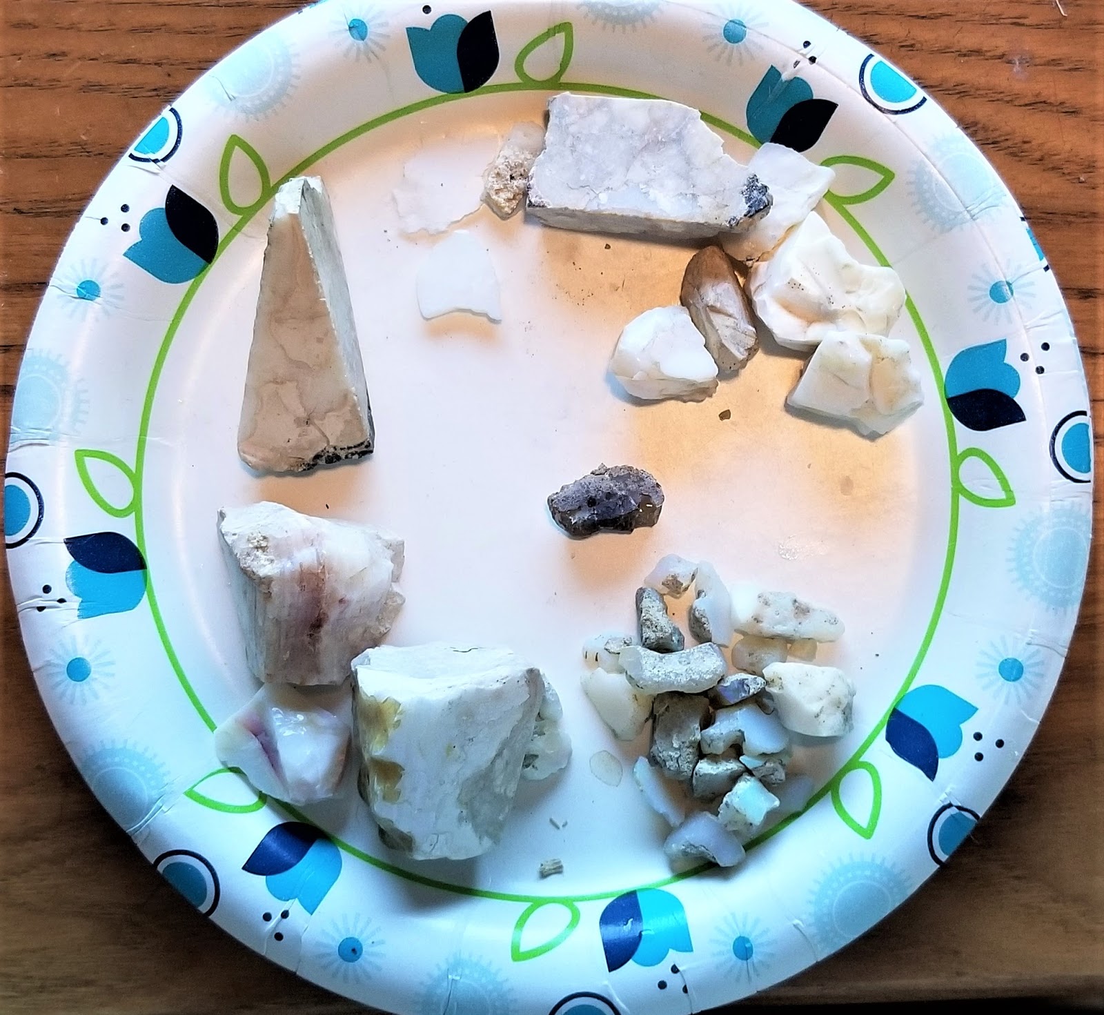 Doing It On The Road(Part II) A Busy Week of Opals, Doctors, and Boat