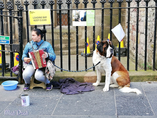 Edinburgh Castle Dog Edinburgh Castle Dog