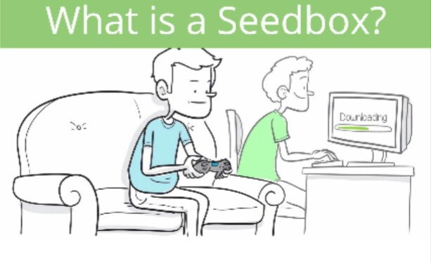 Why You Should Use Seedbox for Torrenting?