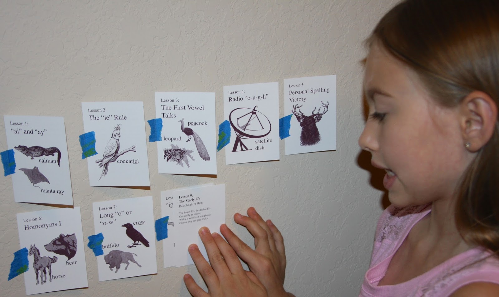 A Learning Journey TOS Review Zoo Spelling Level B Starter