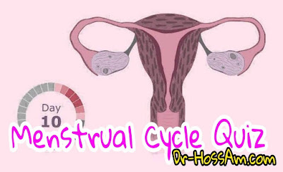 Menstrual Cycle Quiz