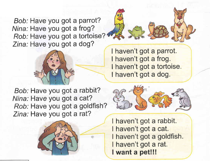 What pet has john got. Тренажер для чтения Куликовская. Турусова а. тренажёр по чтению. 1 Класс. ФГОС. Букварь Жуковой буква б. Тренажёр по чтению (т.а. Куликовская). What pet has john got. Тренажер для чтения Куликовская. Турусова а. тренажёр по чтению. 1 Класс. ФГОС. Букварь Жуковой буква б. Тренажёр по чтению (т.а. Куликовская).