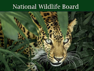 राष्ट्रीय वन्य जीव बोर्ड |National Wildlife Board - GK in Hindi | MP GK