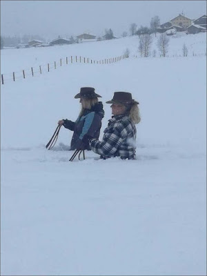 Im Winter mit Pferden reiten - Spaßbilder Im Winter mit Pferden reiten - Spaßbilder