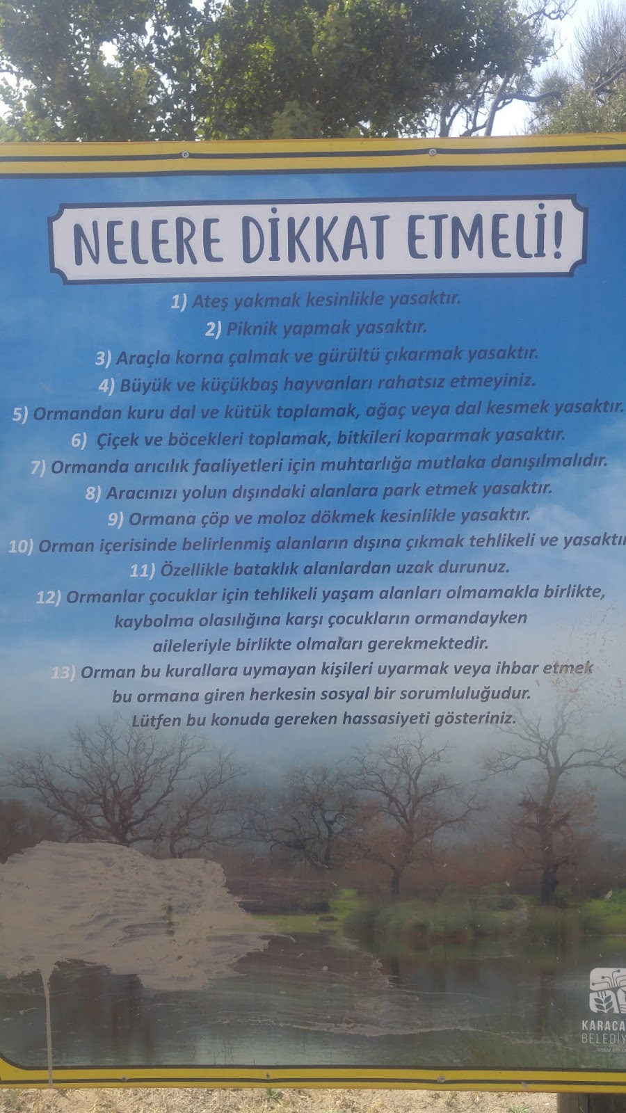 Sevdadan Karakalem Yazılar KARACABEY LONGOZ GEZİMİZ