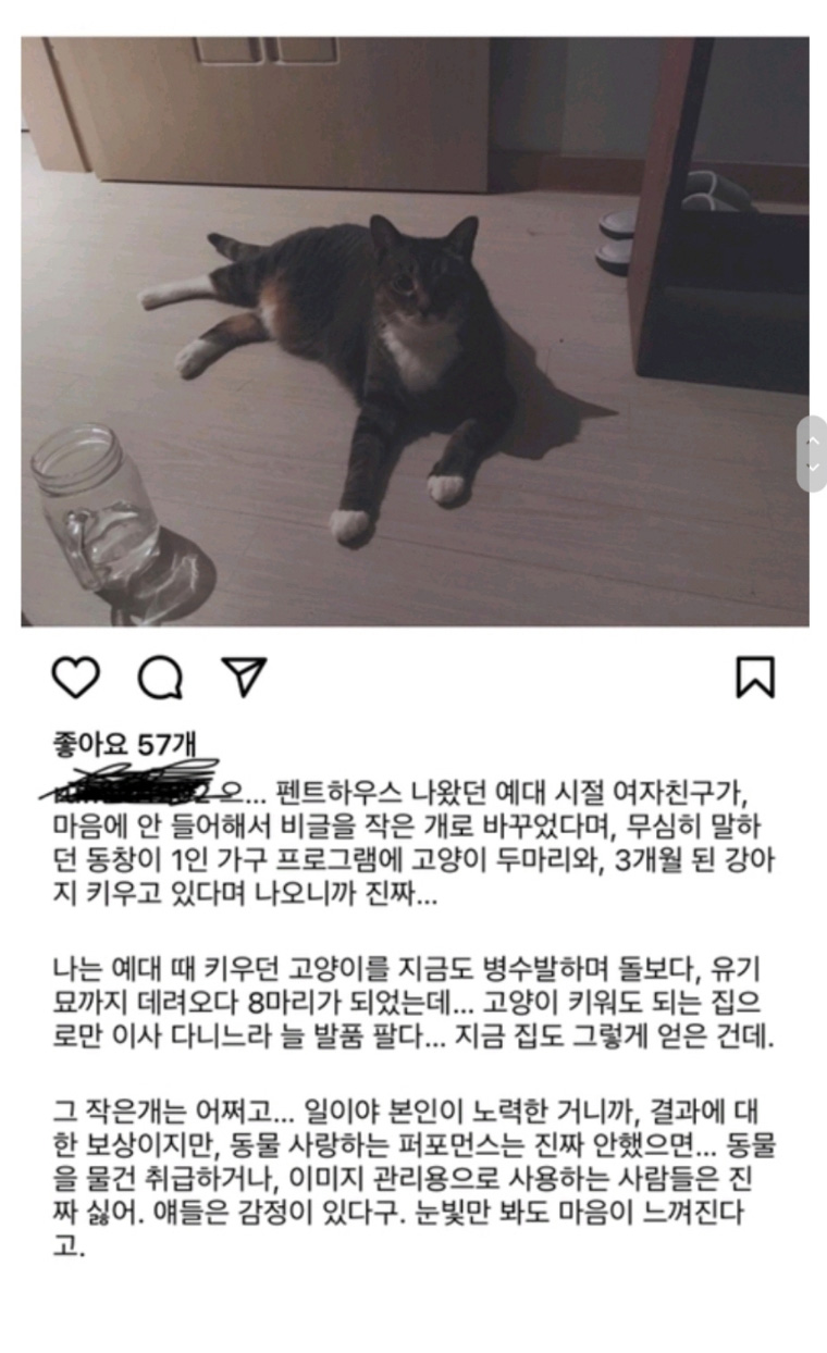 나혼자 산다 출연 배우 파양 논란