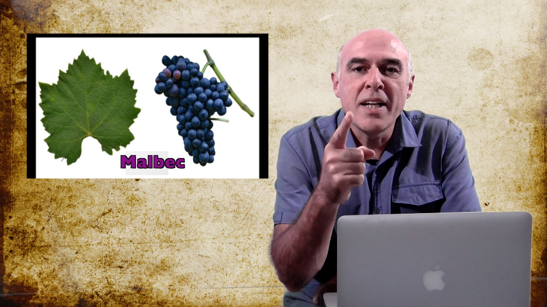 Papo de Vinho Tudo sobre a Malbec no Malbec Day