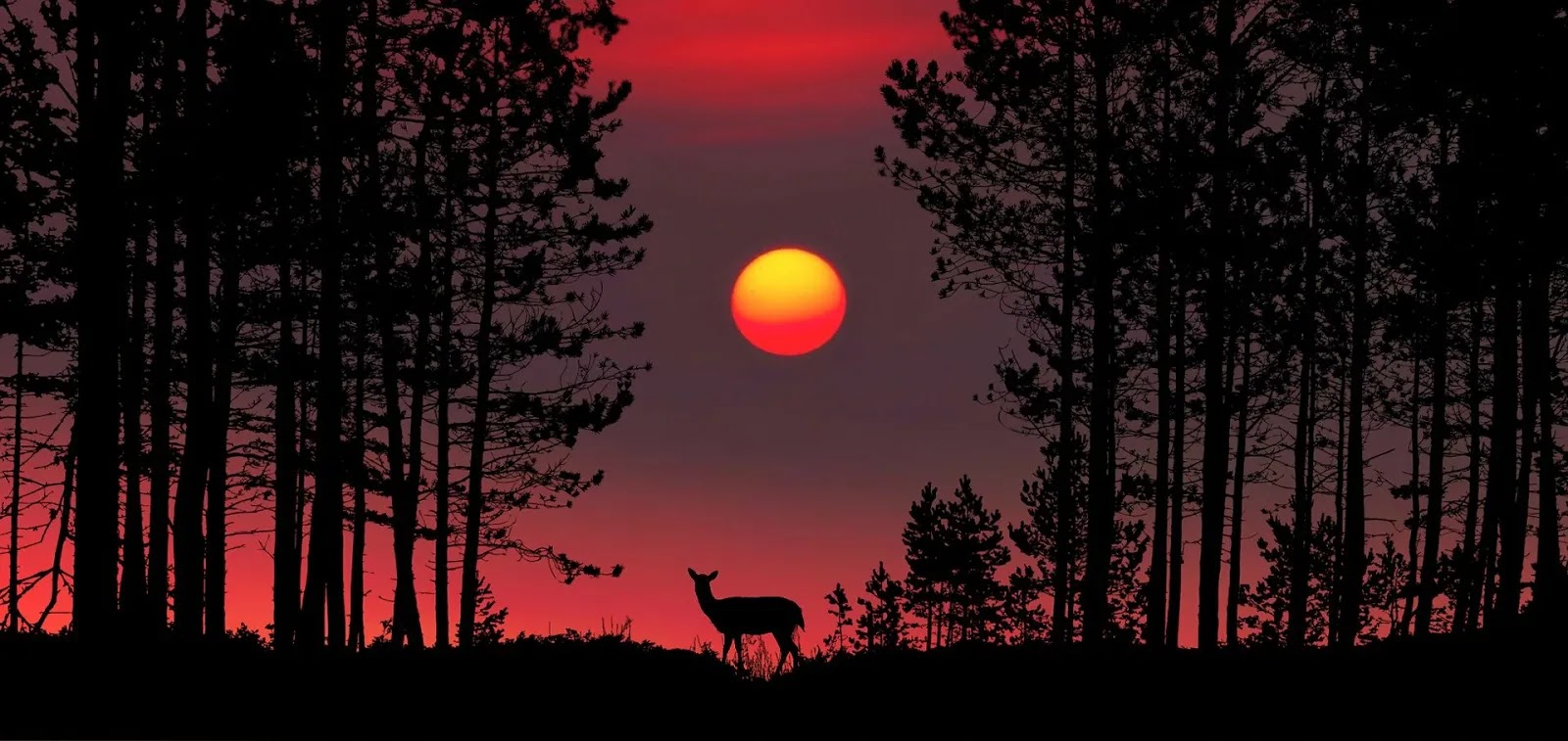 تنزيل اجمل خلفيات كمبيوتر 4k hd wallpapers 1080p ? تنزيل اجمل خلفيات كمبيوتر 4k hd wallpapers 1080p ?