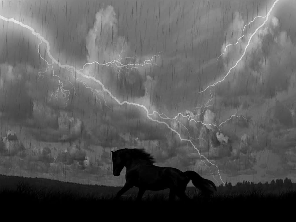 Гроза лошадей. Гроза лошадь. Конь гроза. Лошадь молния. Гроза.