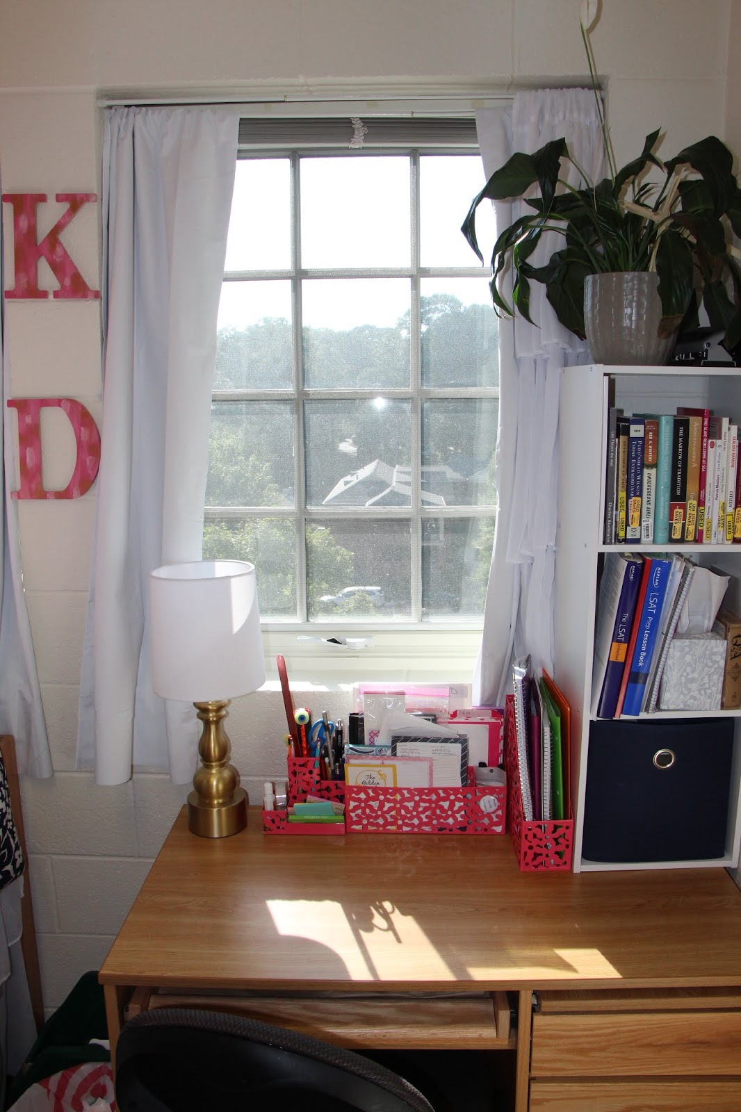 Senior Year Dorm Room at Wake Forest University Tall and Preppy