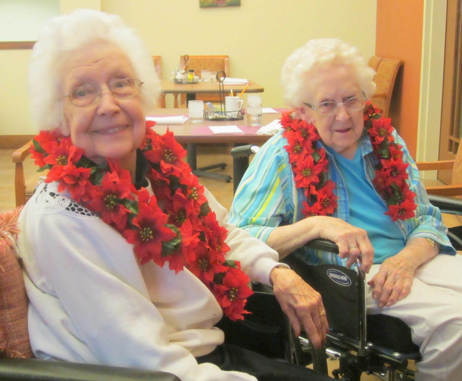 Harvest Moon by Hand Decorating a Nursing Home for Christmas Countdown to Christmas Day 2