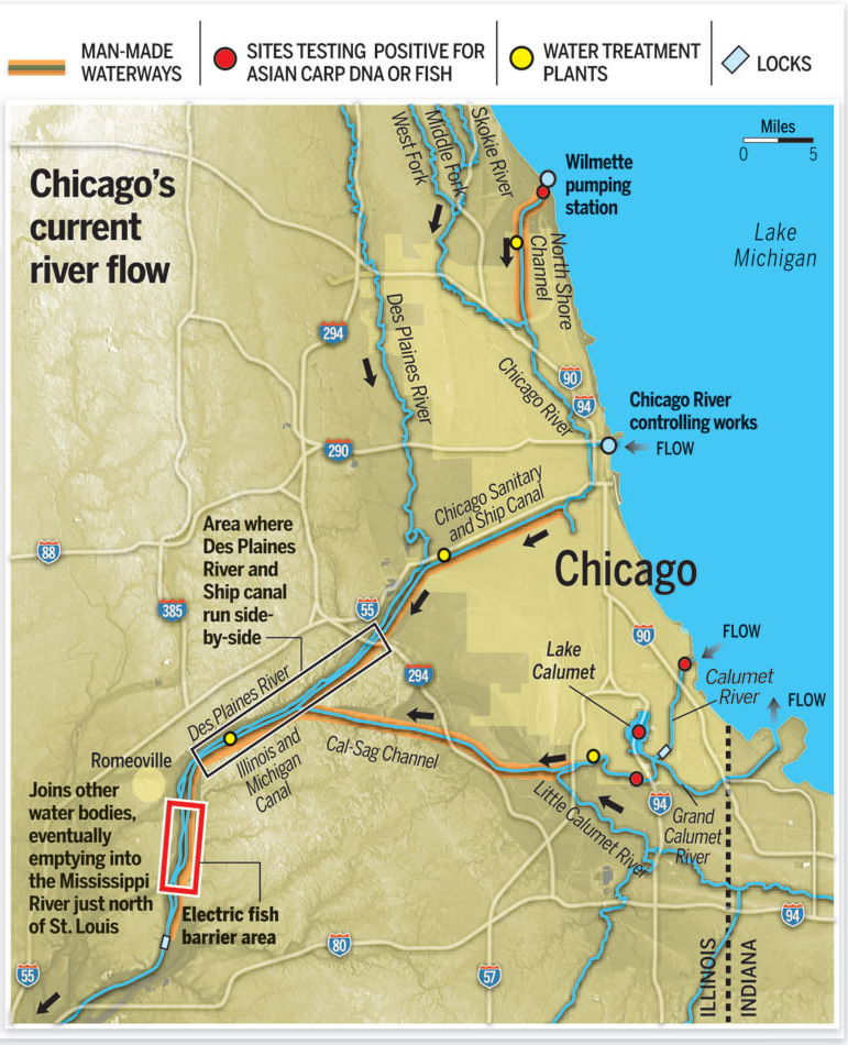 chicago river reversal