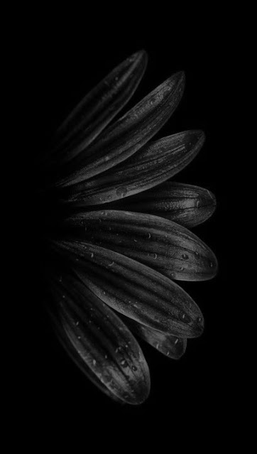iphone 8 wallpaper black and white