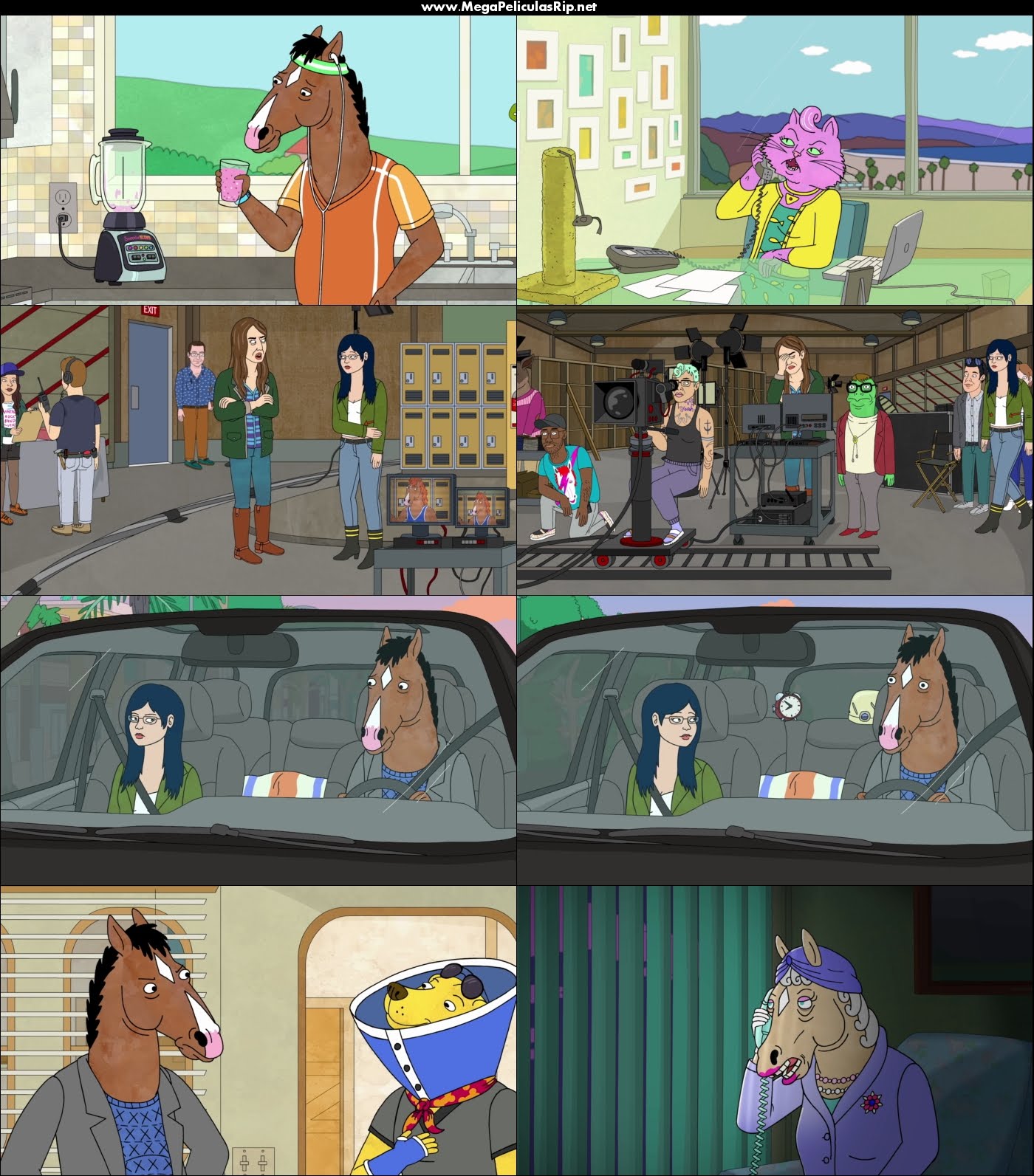 BoJack Horseman Temporada 2 1080p Latino