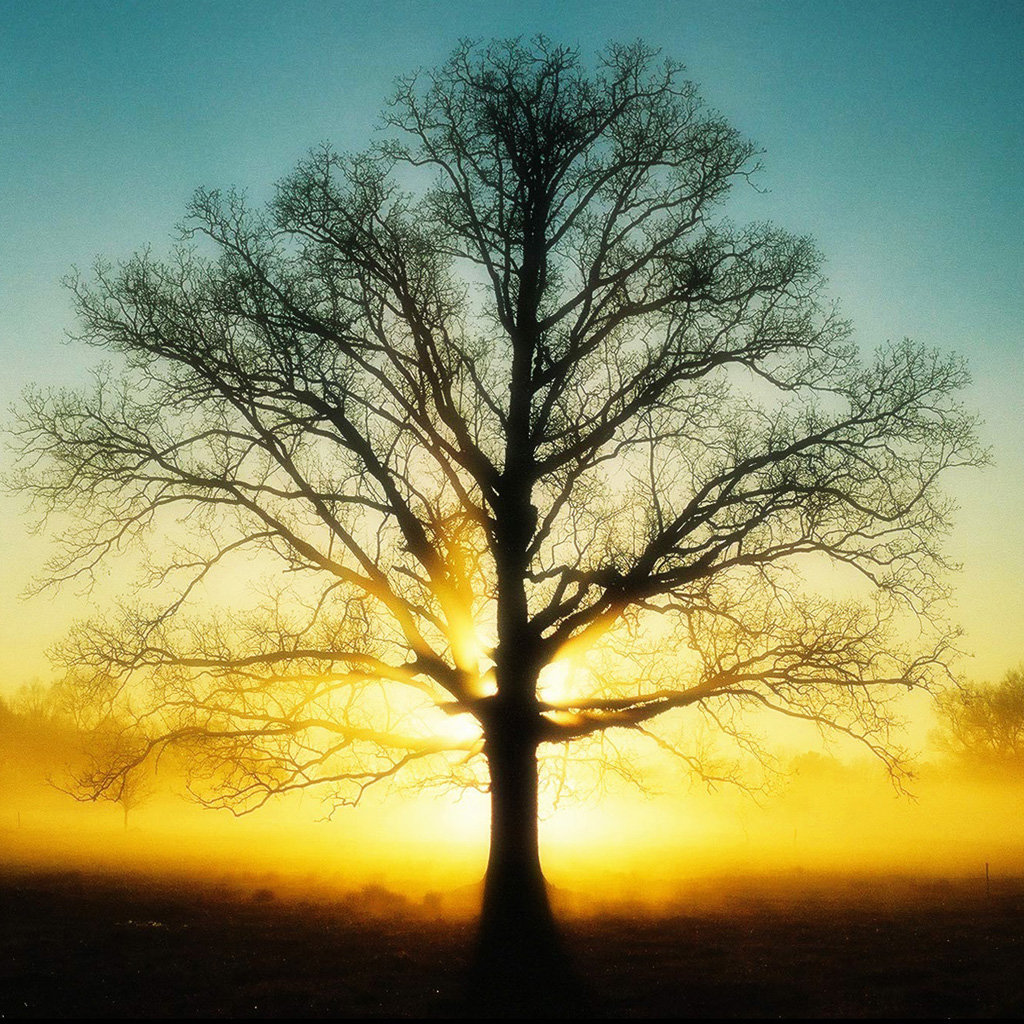 †MIGHTY WARRIOR BLOG † : The report of the spies