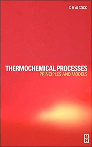 Thermochemical Processes: Principles and Models 1st Edition