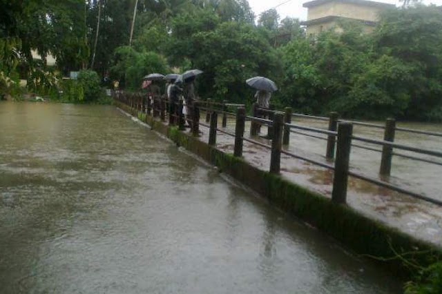 പൂളക്കടവ് പാലം: എസ്​റ്റിമേറ്റ്​ രണ്ടാഴ്ച്ചക്കകം തയ്യാറാക്കും