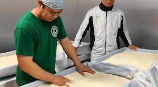 Avaliação da textura do arroz de saquê