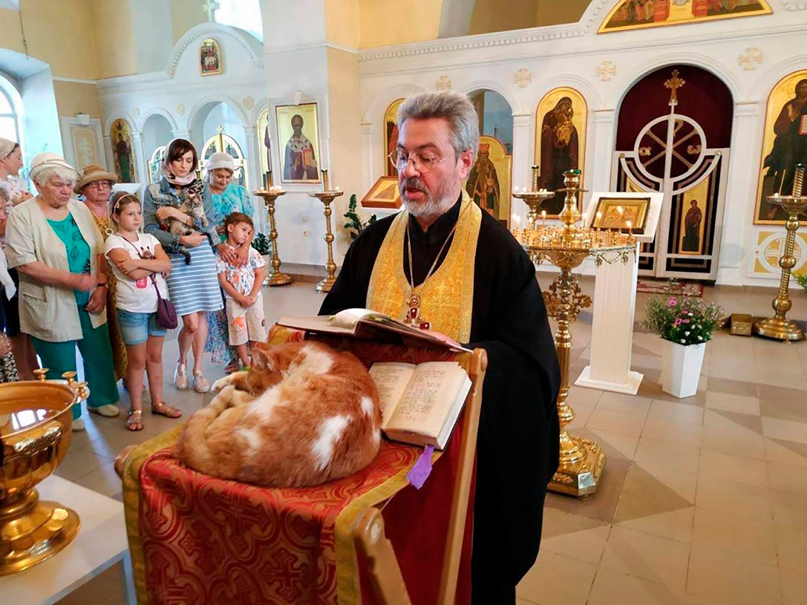 В контакте приход. Кошка в православном храме. Кот в храме на службе.