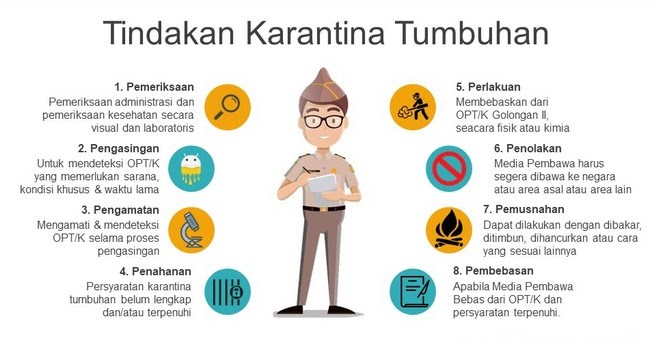 Jasa Fumigasi  Phytosanitary  Pallet  ISPM#15 PROSEDURE DAN CARA
