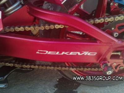 r25Bali_armDelkevic r25Bali_armDelkevic