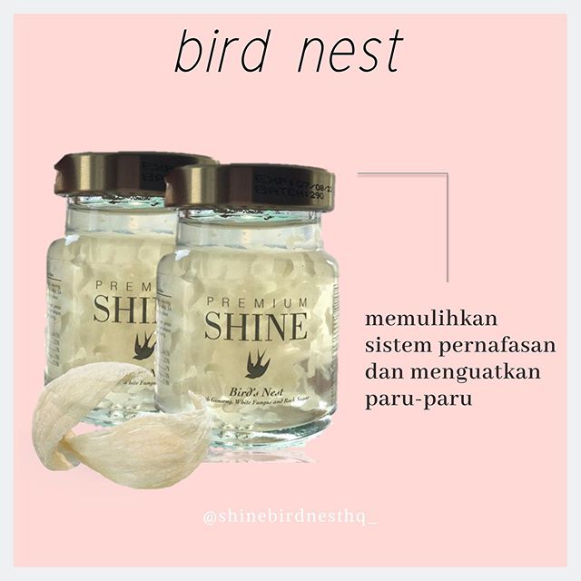 Kelebihan Bird Nest sloppyploaty
