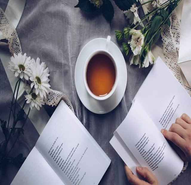 الكتاب خير جليس قراءة الكتب قراءة الكتب خير جليس فوائد القراءة
