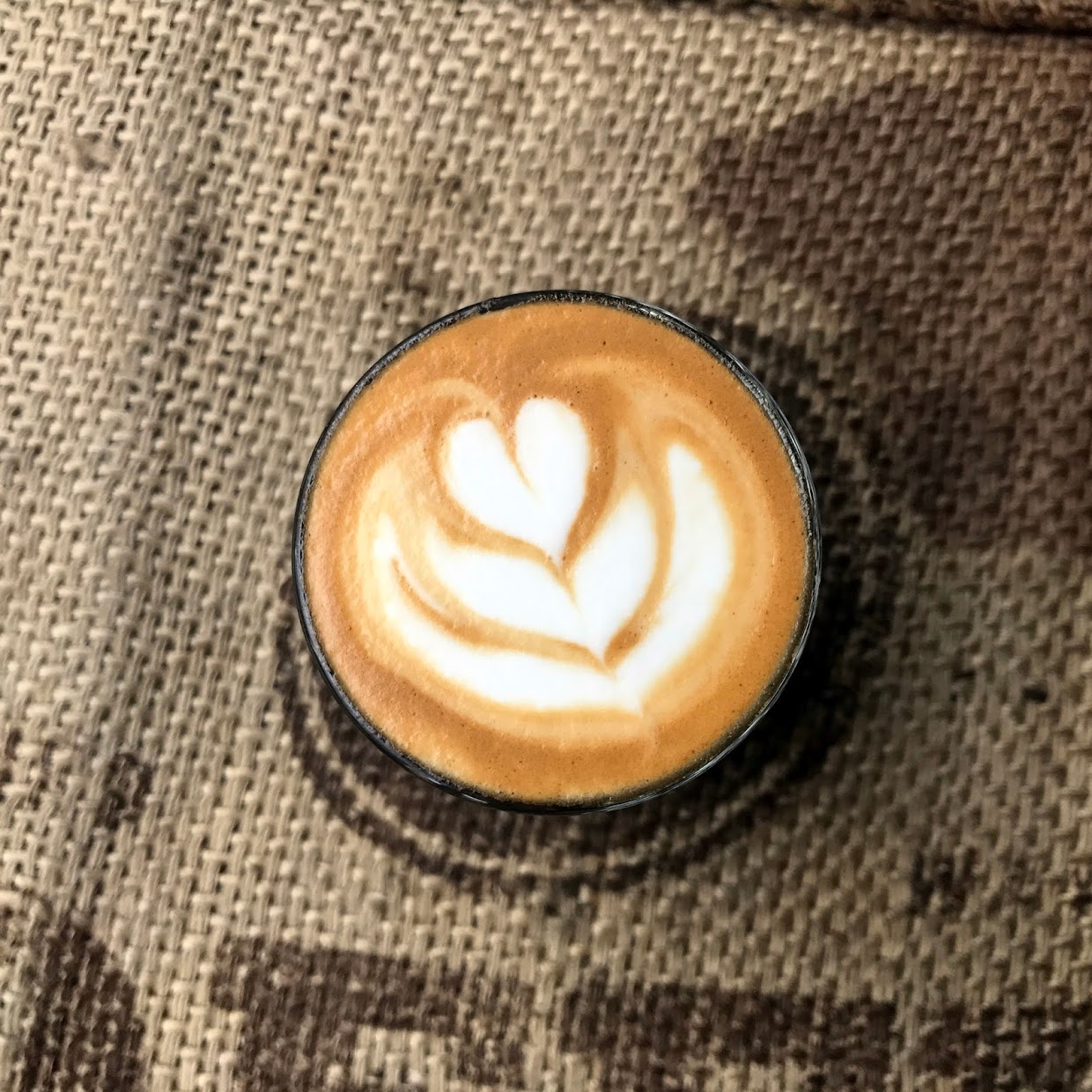 Double Skinny Macchiato The Caffeine Chronicles Hopper Coffee