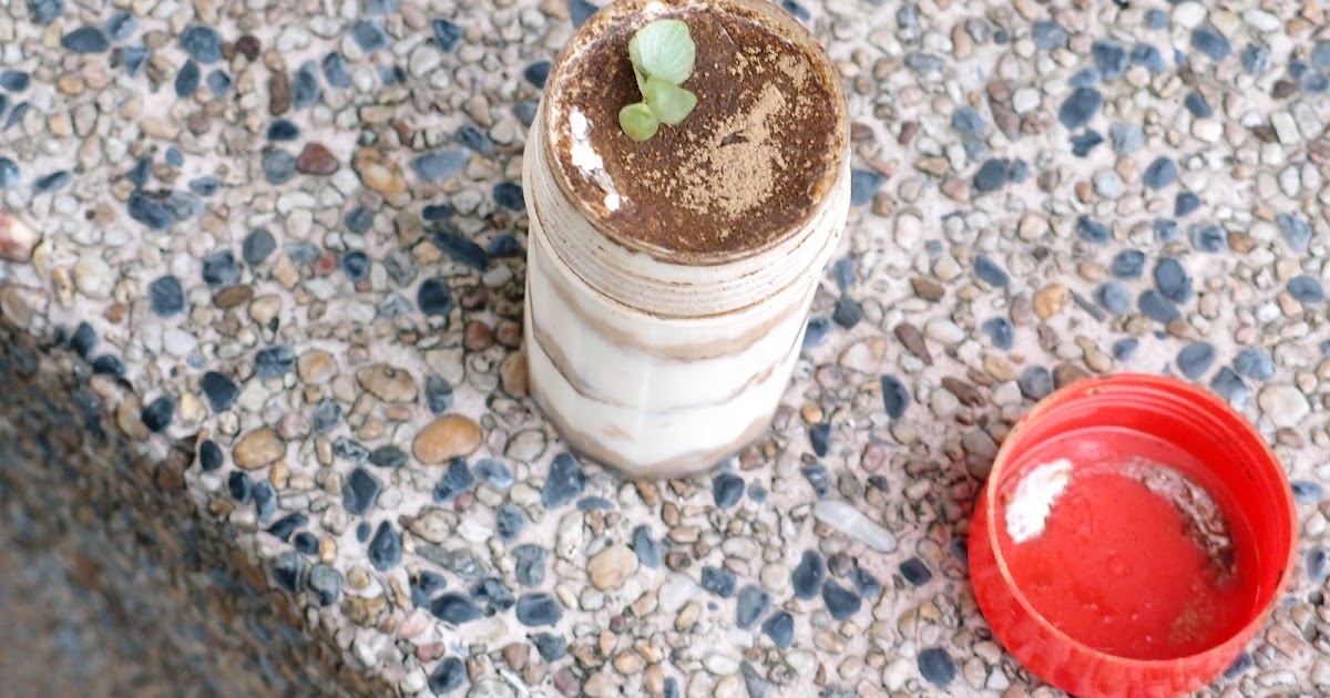 [食記] 台北 桂花烏龍提拉米蘇《陽苔·Yang Tai