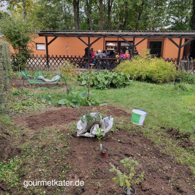 Chancenpatenschaften im Garten