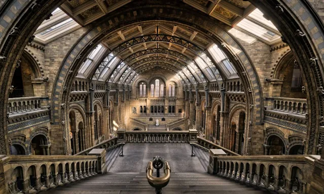 the natural history museum london | natural history museum