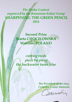 The 5th Sharpening the Green Pencil Contest, 2016