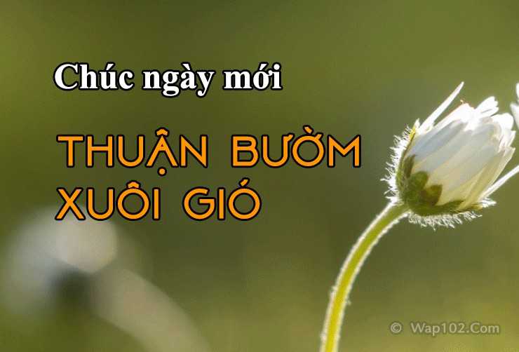 Tải Hình Ảnh Chúc Ngày Mới Tốt Lành, Chào Ngày Mới 2023