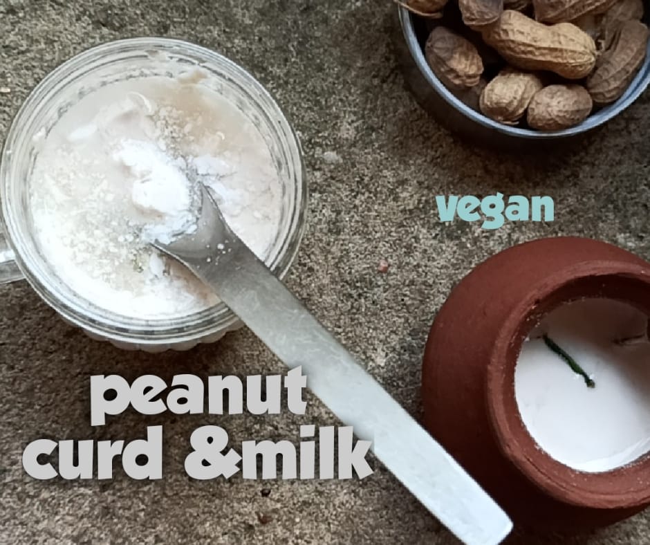 Get Your Calcium & Protein From Pure Vegan Milk, Peanut Curd Recipe
