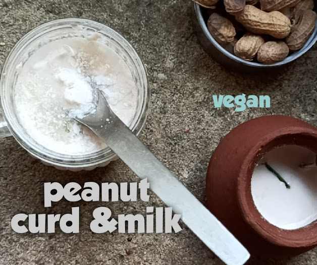 Get Your Calcium & Protein From Pure Vegan Milk, Peanut Curd Recipe