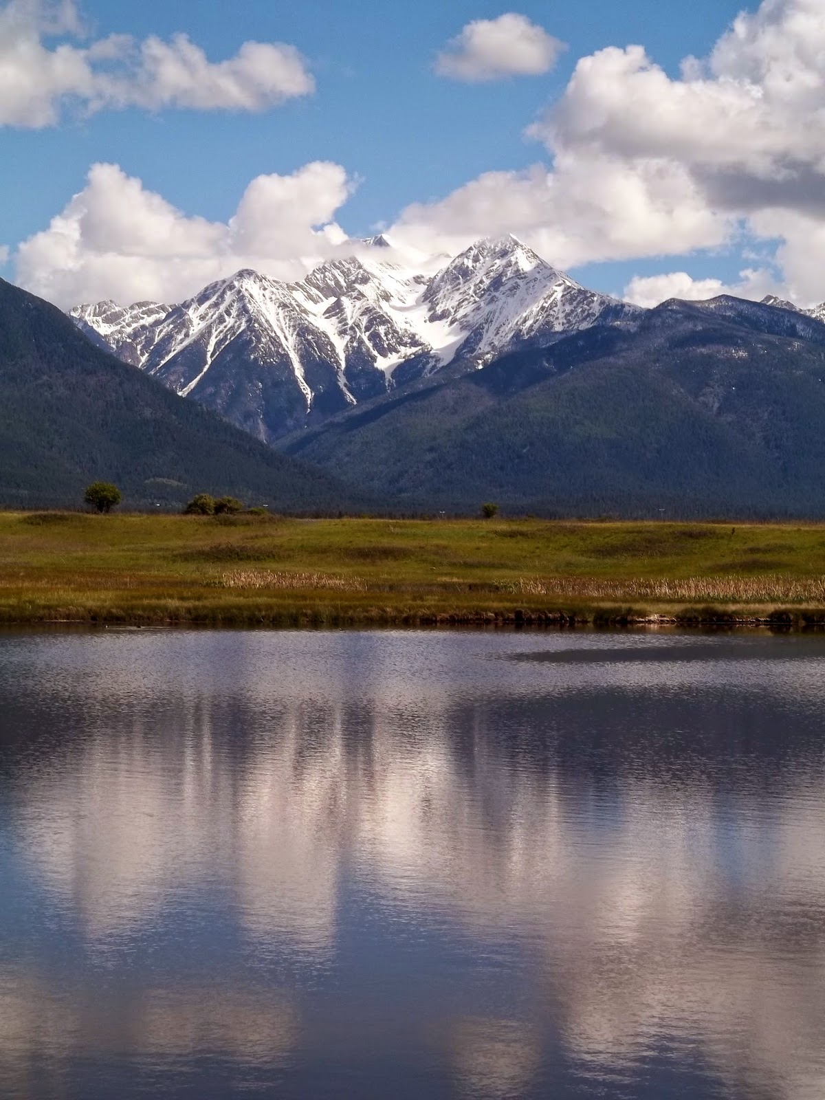 Aqua Cycle California s Hexavalent Chromium MCL Set To Take Effect 