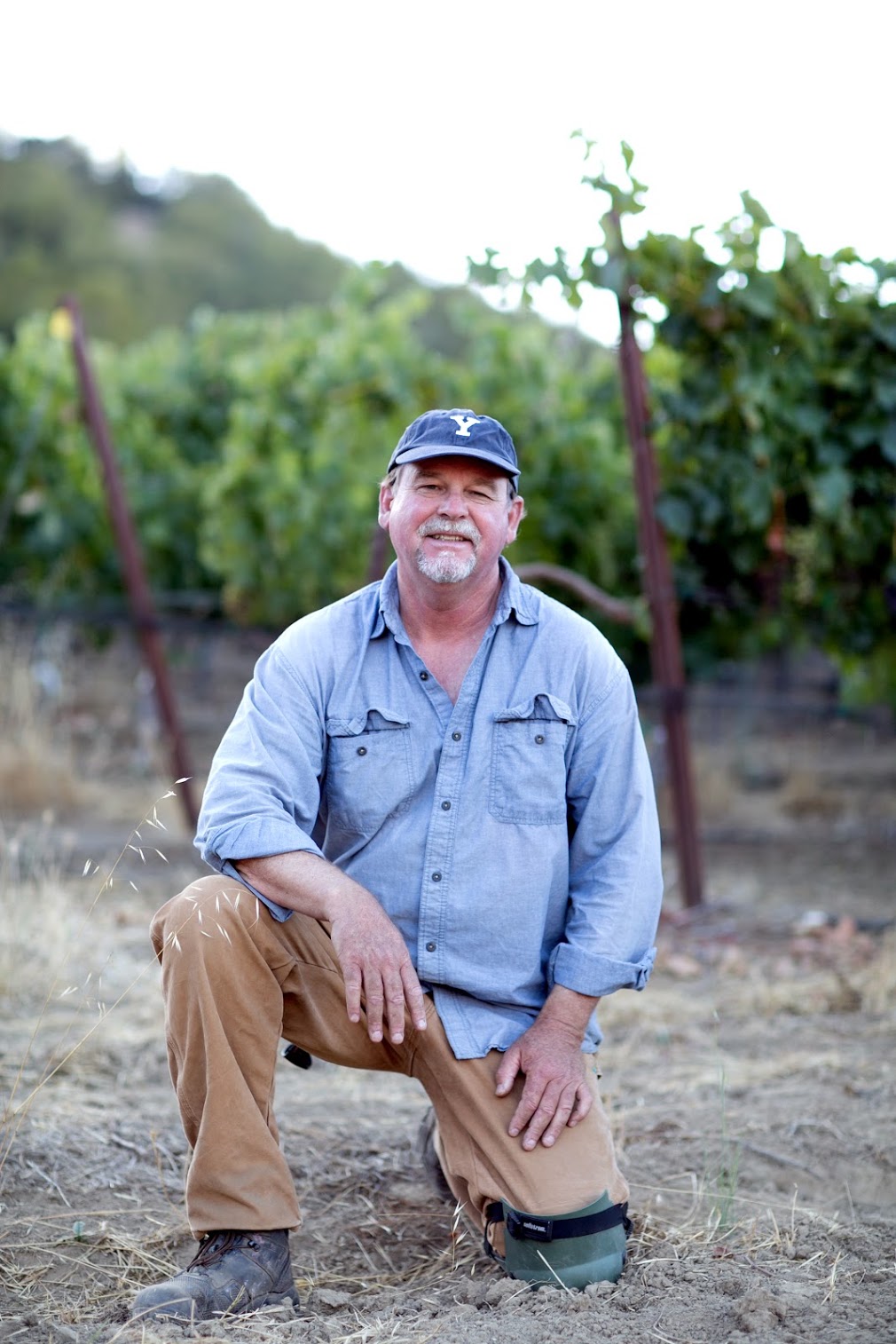 The Wine Write Talking Marin County Wine With Stewart Johnson of