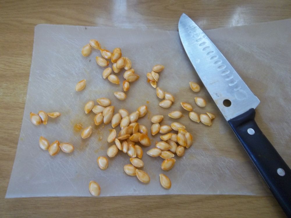 Eco Footprint South Africa Gone to seed...