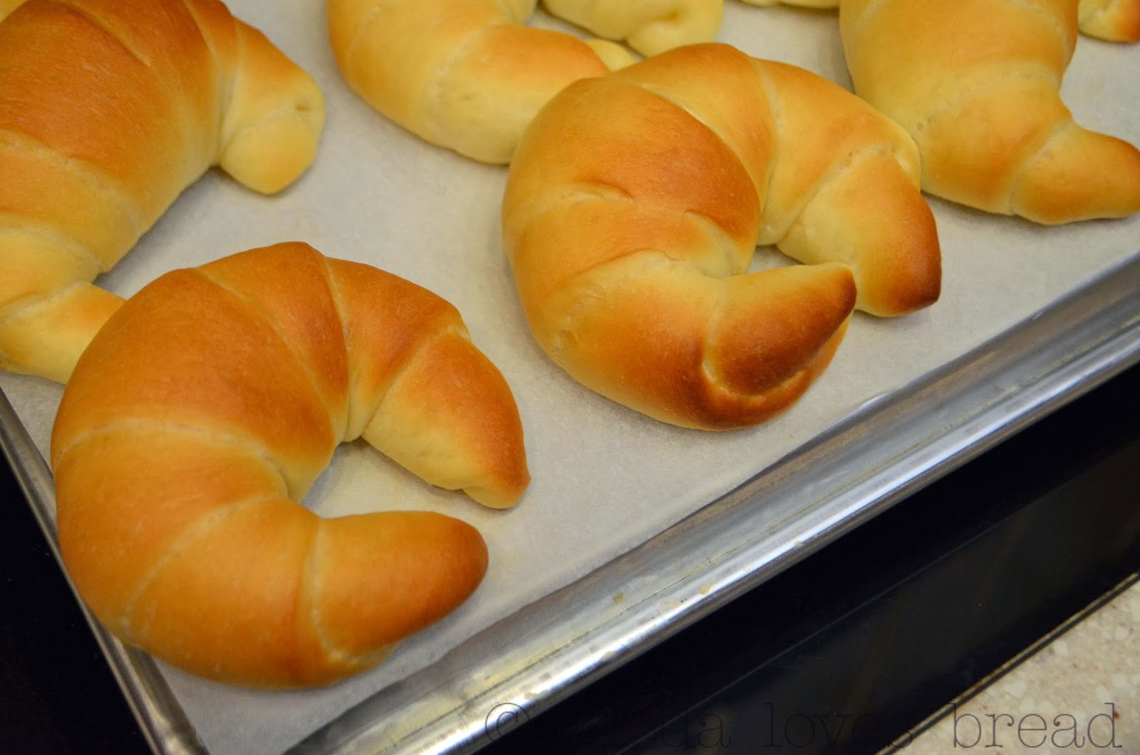 Frieda Loves Bread Crescent Dinner Roll Shape Secret!