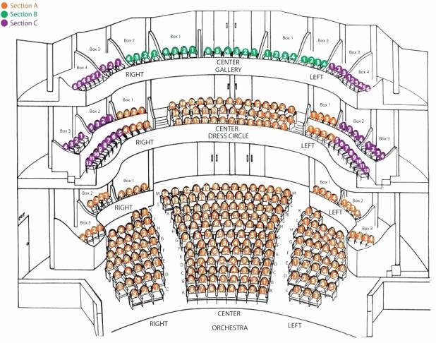 Wiltern Seating Chart View