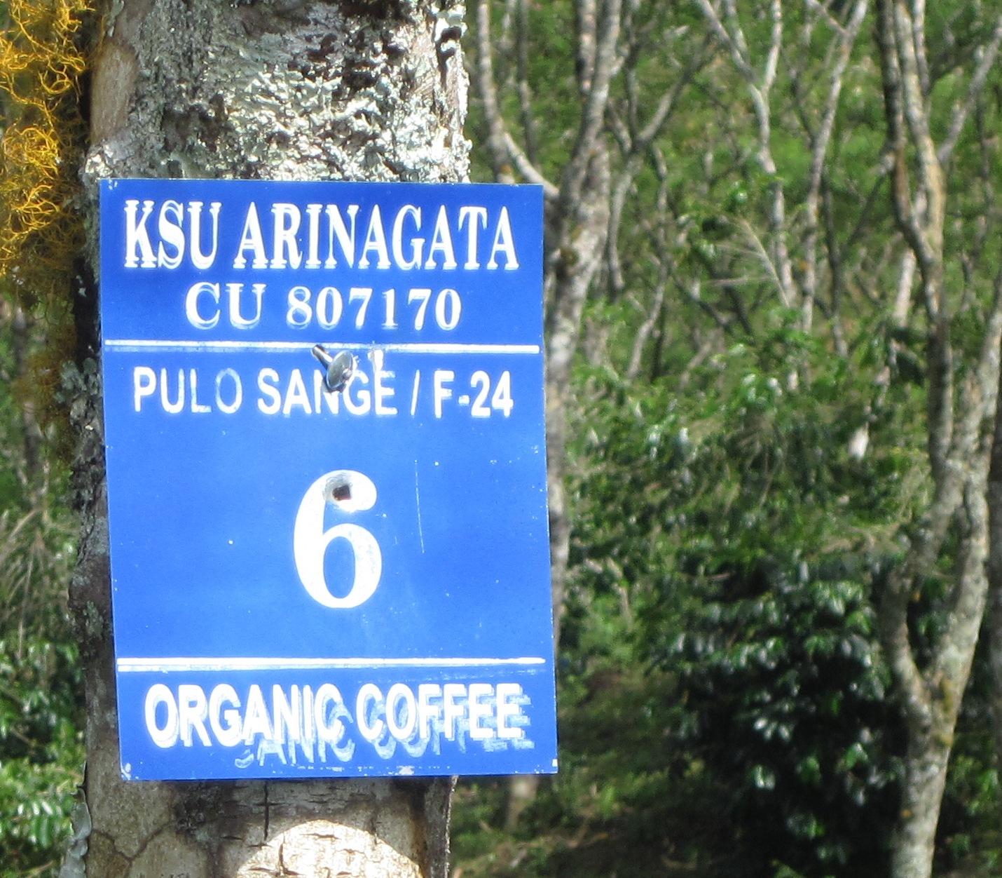 Journey for Fair Trade Should Fair Trade be Synonymous with Organic?