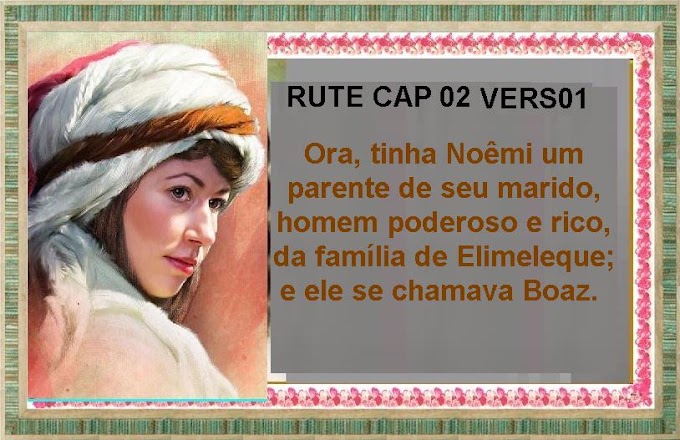 LIVRO DE RUTE CAP 02