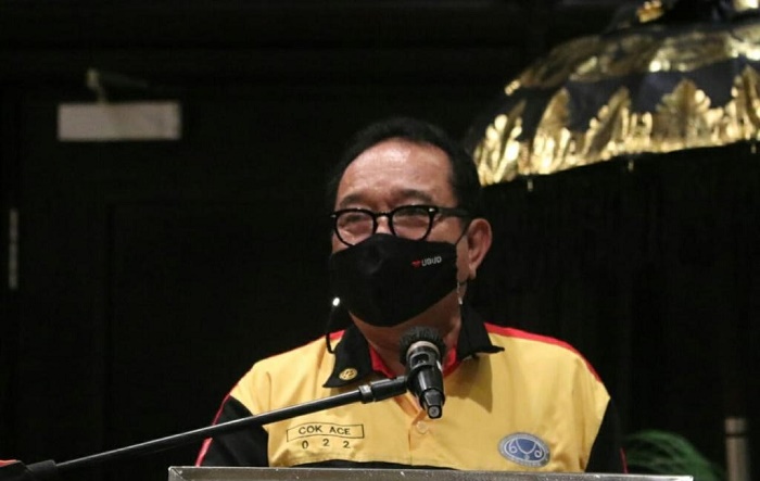 Wagub Cok Ace: Pola Pemulihan Ekonomi Bali Tergantung Kunjungan Wisatawan Domestik