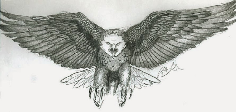 Eagle Tattoos   TattooParadise