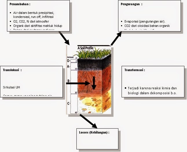Proses Pembentukan Tanah